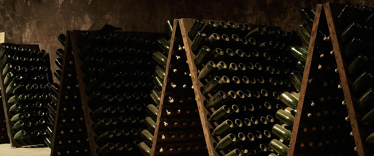 Dove Nasce il Vino